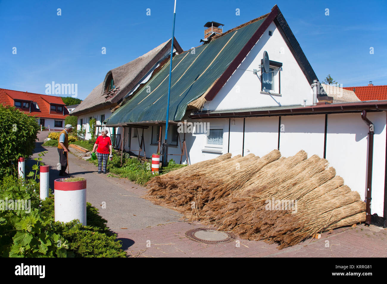Rinnovo, casa ottiene un nuovo con tetto di paglia, villaggio Schaprode, Ruegen, Meclemburgo-Pomerania, Mar Baltico, Germania, Europa Foto Stock