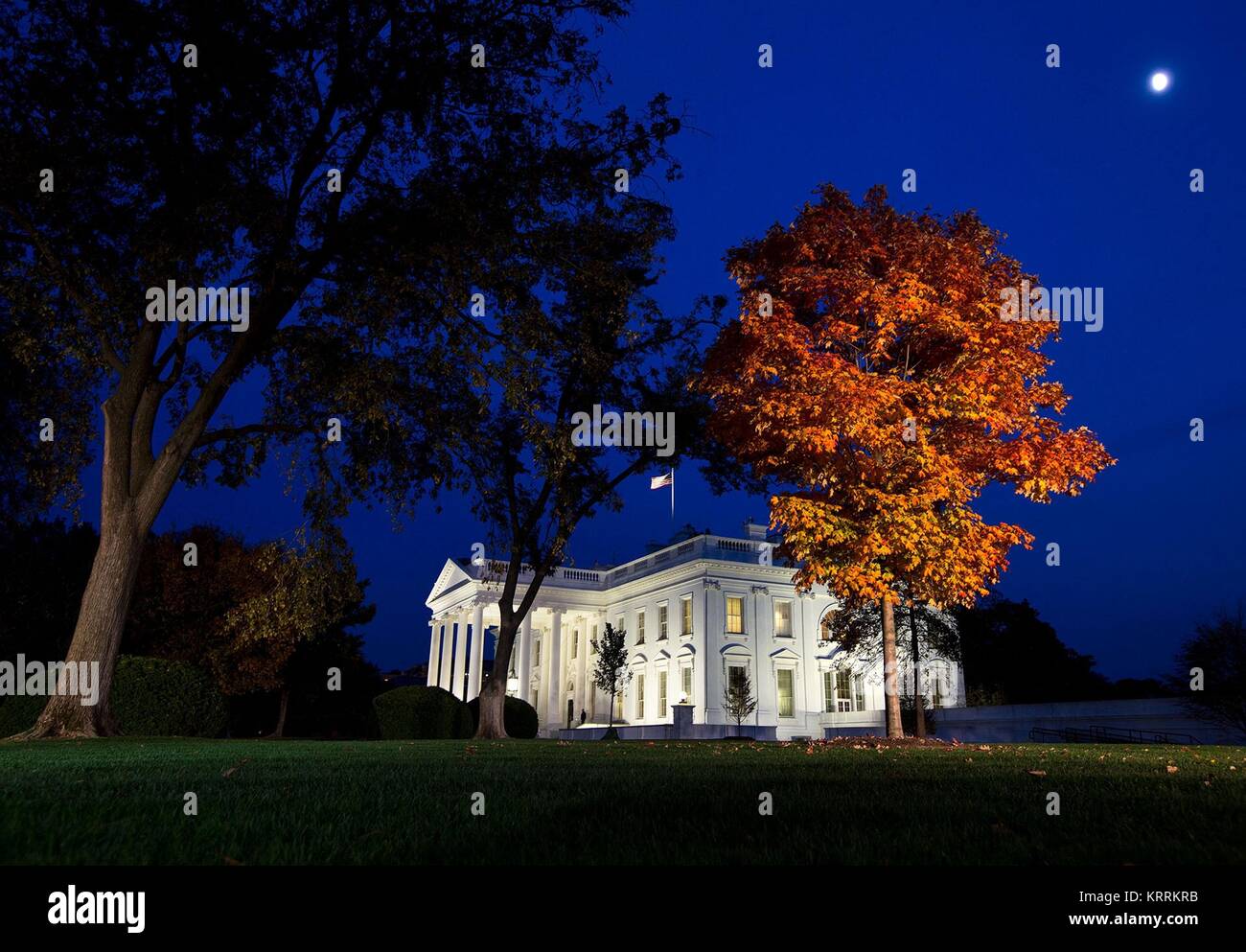 Caduta delle Foglie si illumina di fronte al portico settentrionale della Casa Bianca al tramonto Novembre 8, 2016 a Washington, DC. Foto Stock