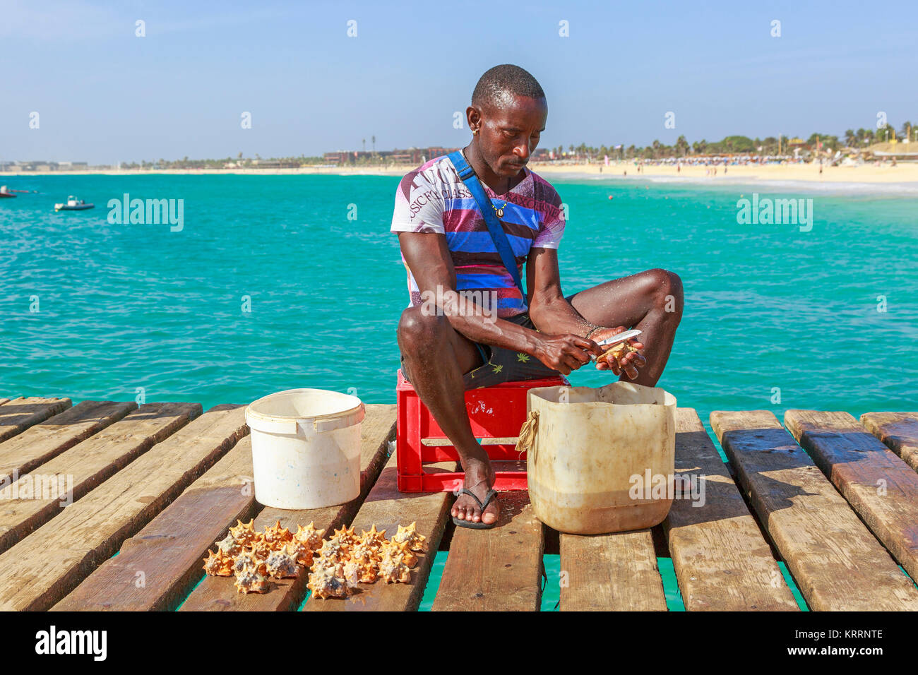 Pescatore locale pulizia appena catturati conch gusci di vendere come souvenir ai turisti, Santa Maria, Sal, Salina, Capo Verde, Africa Foto Stock