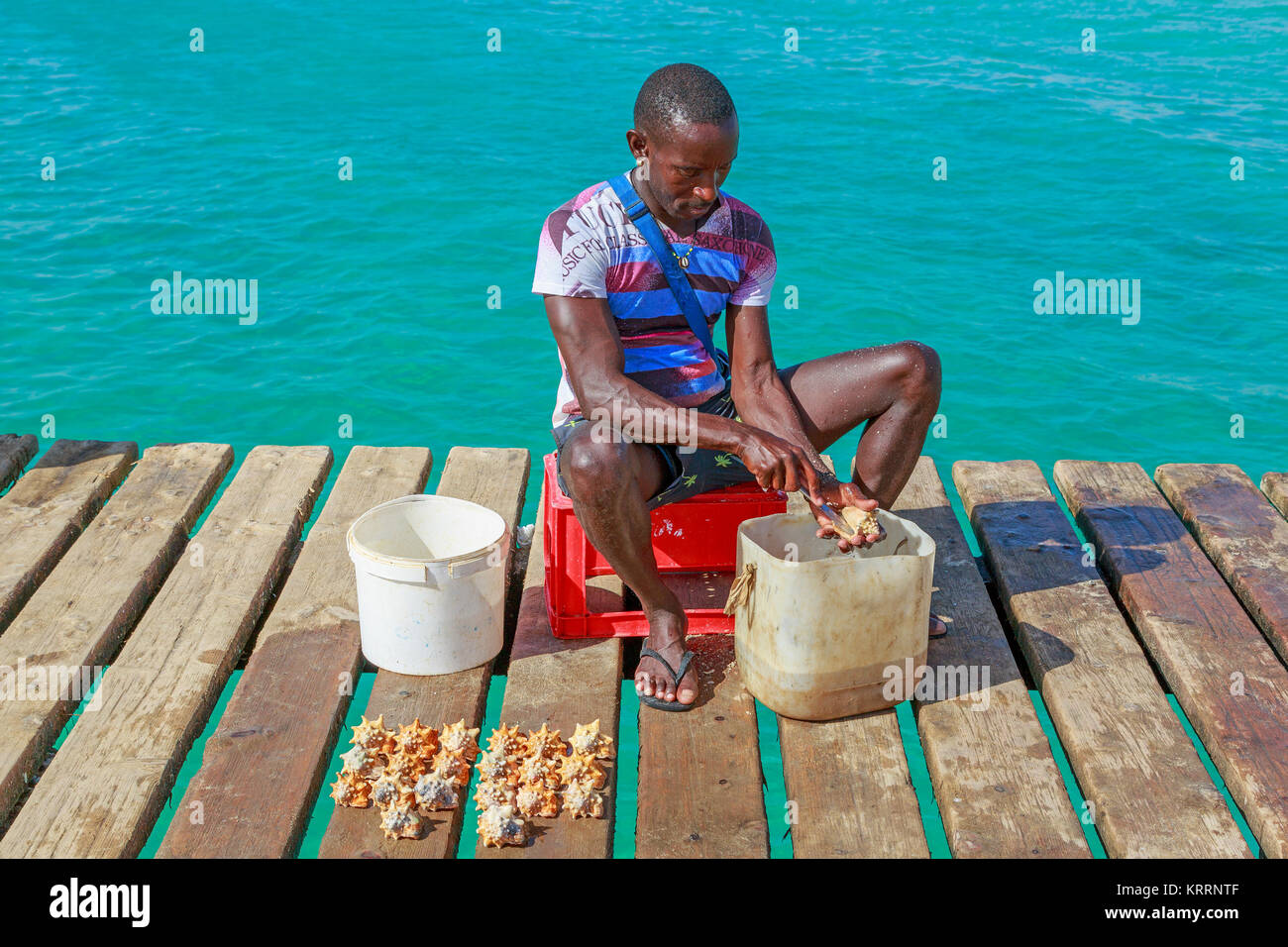 I pescatori locali per la pulizia di un appena catturati conch shell per vendere ai turisti come souvenir, Santa Maria, Sal, Salina, Capo Verde, Africa Foto Stock