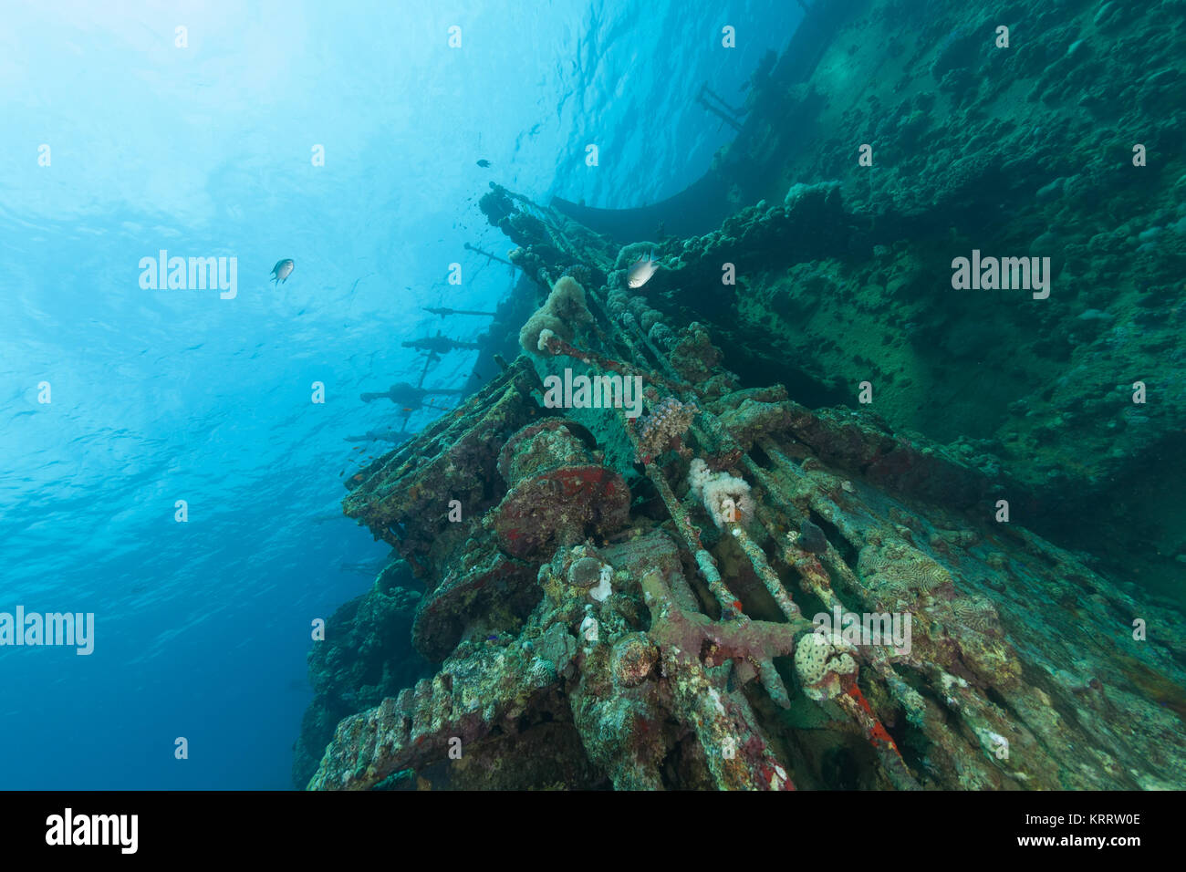 Nave affondata relitto immersioni subacquee Sudan Mar Rosso Foto Stock