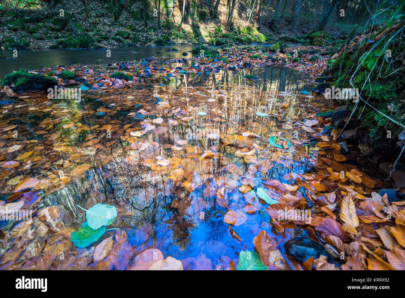 Tanzende Blätter im Herbst bei langer Belichtung, buntes Herbstlaub und deren Wanderung auf einem Fluss, blauer Himmel und bunter Herbst am Wasser Foto Stock