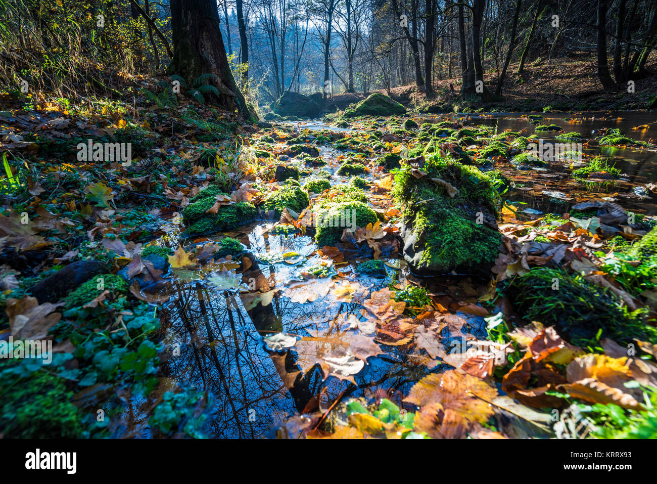 Tanzende Blätter im Herbst bei langer Belichtung, buntes Herbstlaub und deren Wanderung auf einem Fluss, blauer Himmel und bunter Herbst am Wasser Foto Stock