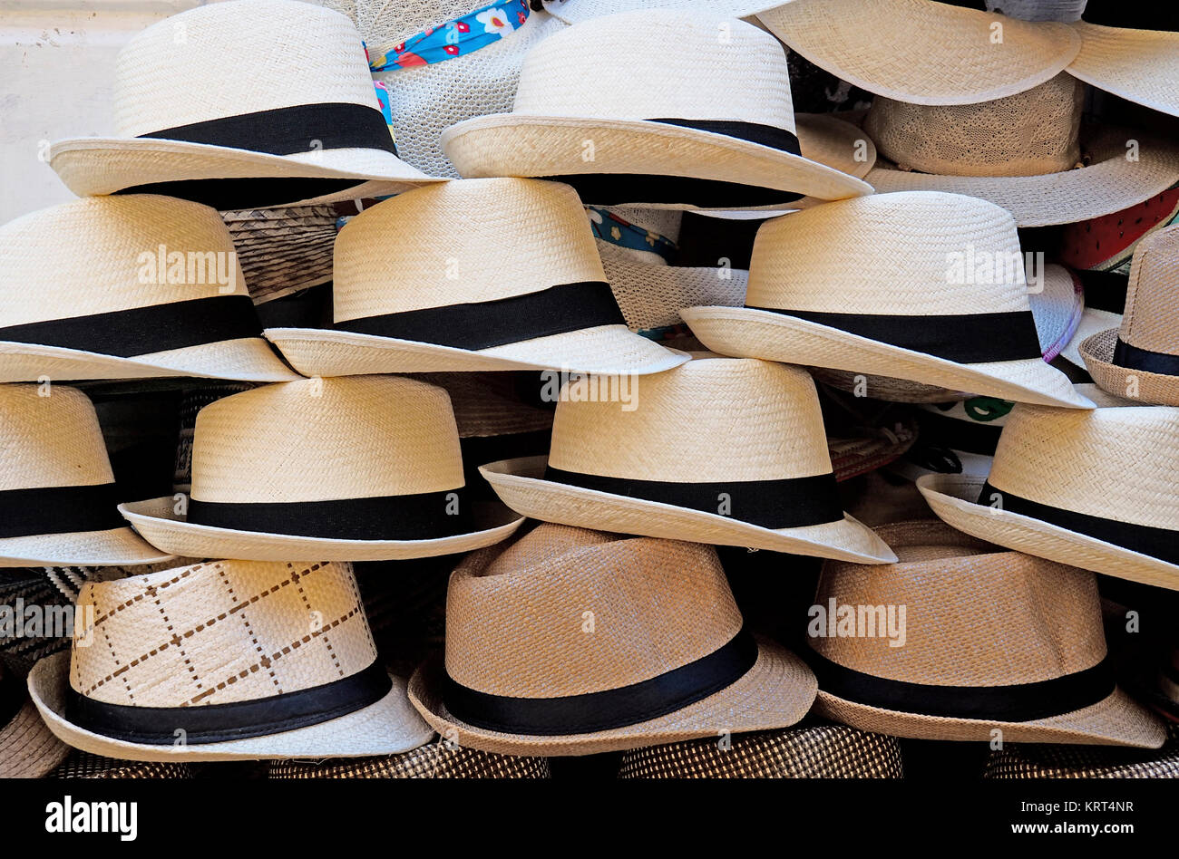 Cappelli di panama immagini e fotografie stock ad alta risoluzione - Alamy
