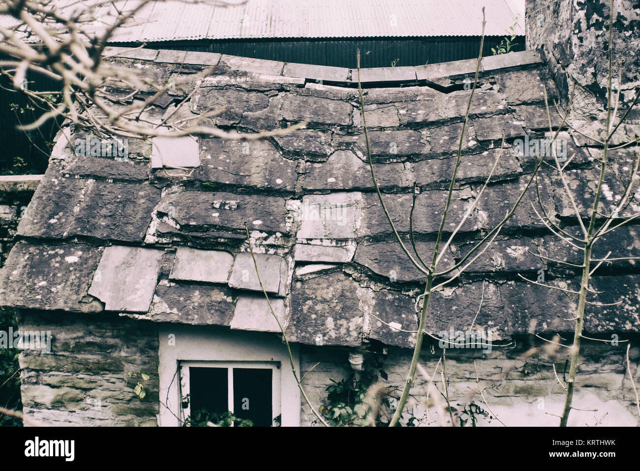 Patina del tetto. Un vecchio cottage in Irlanda con un insellamento tetto è realizzato dal locale pietra Liscannor.nascosto in Irlanda. Foto Stock