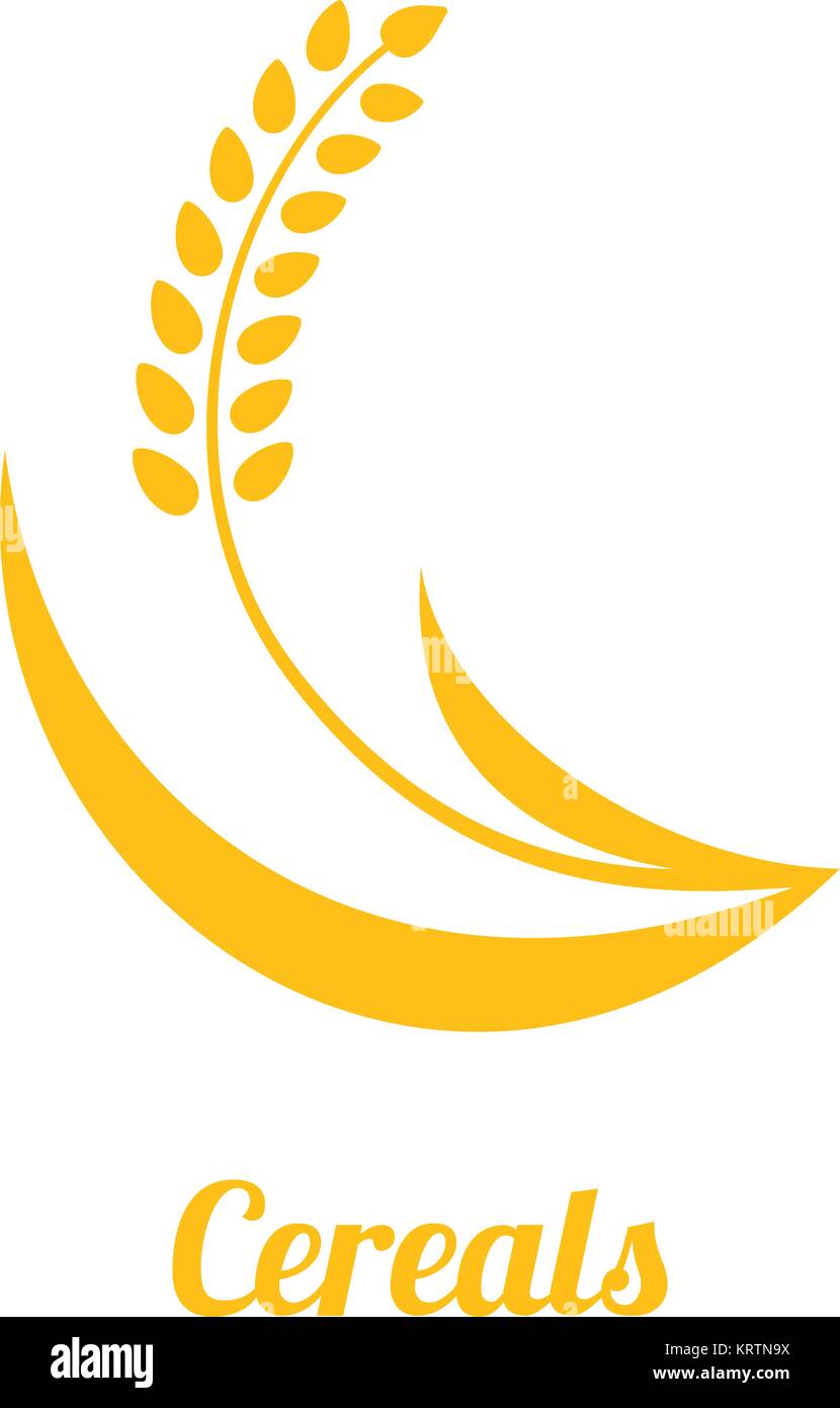 Picco di grano giallo isolato su sfondo bianco. Pianta di grano silhouette. Icona Spica. Orecchio organico. Illustrazione Vettoriale design piatto. Cereali naturali. Ma Illustrazione Vettoriale