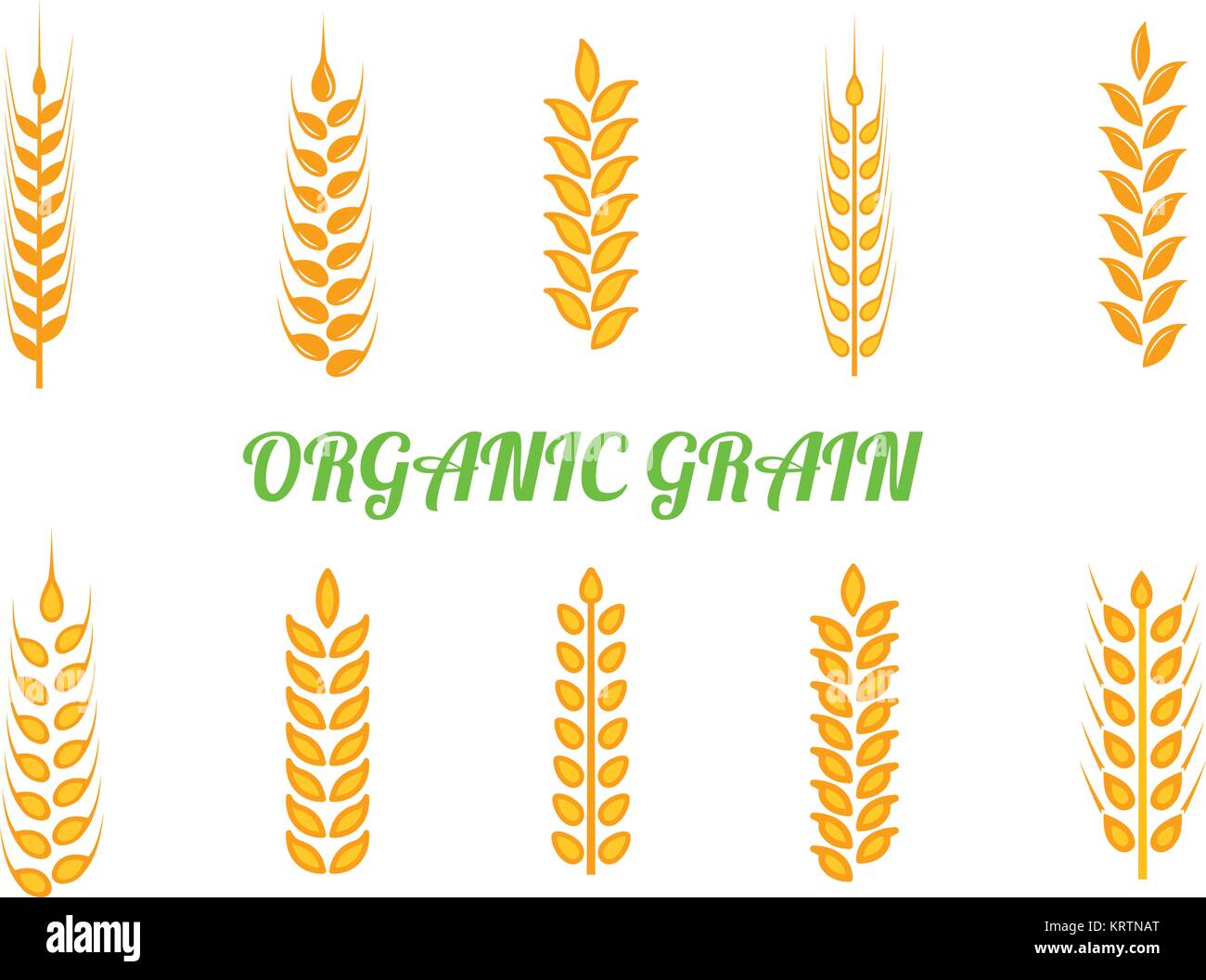 Set di grani di semplici icone di spighe di grano e gli elementi di design per la birra, grani di organico farm locale di alimenti freschi, panificio a tema design di frumento, grano, birra elem Illustrazione Vettoriale