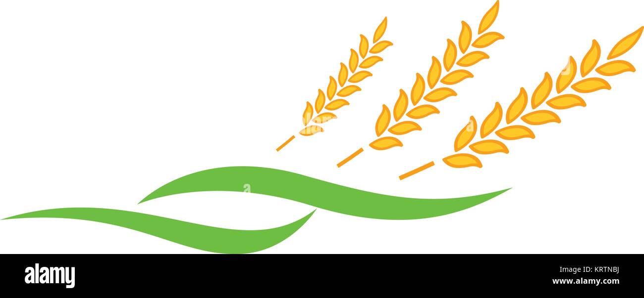 Agricoltura Logo grano modello icona vettore design Illustrazione Vettoriale
