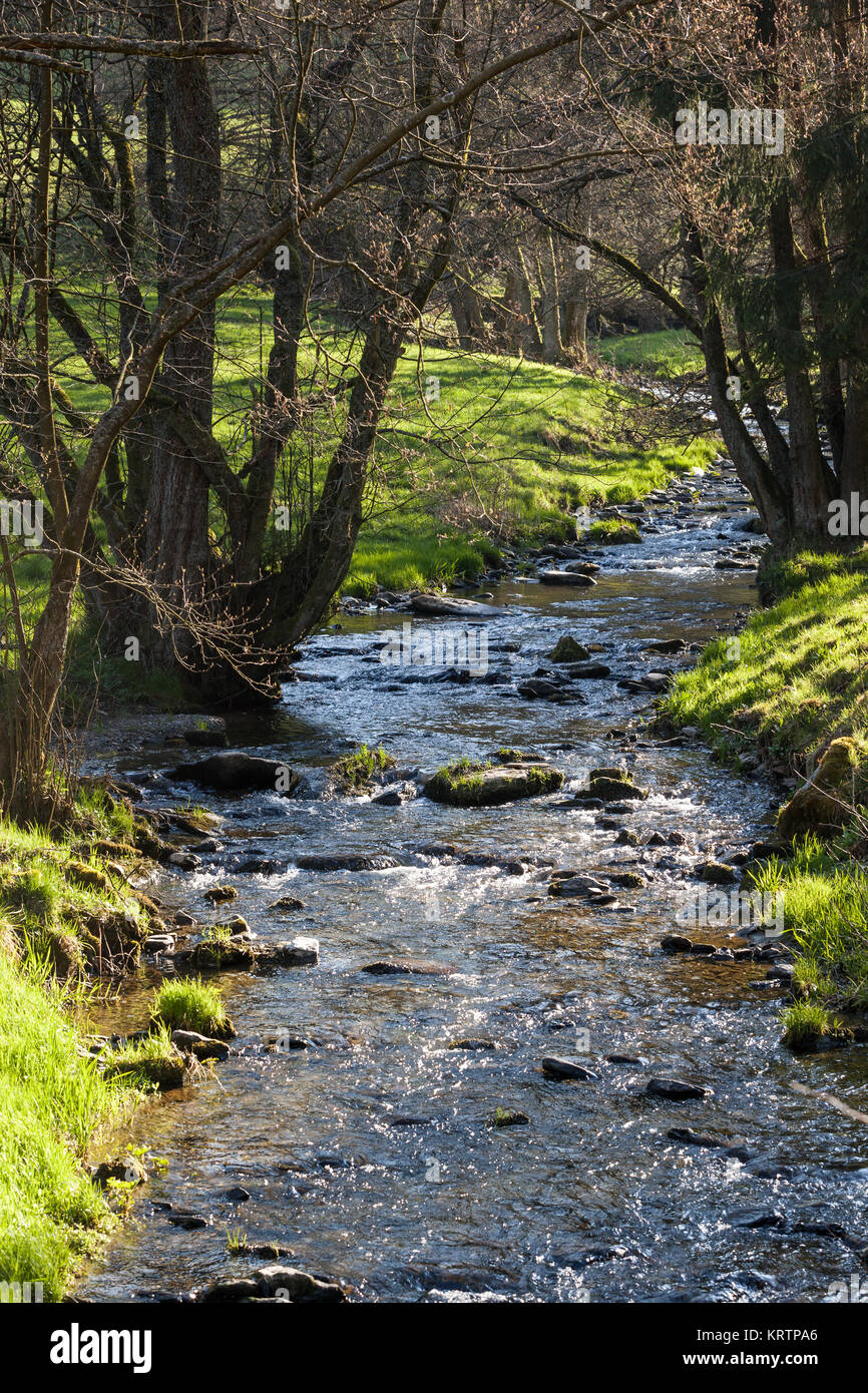 Schwarzatal ThÃ¼ringer Wald Bachlauf Foto Stock