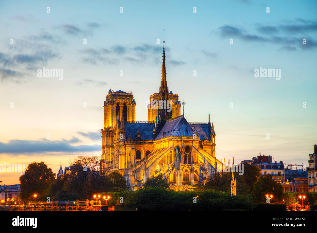 Cattedrale di Notre Dame de Paris Foto Stock