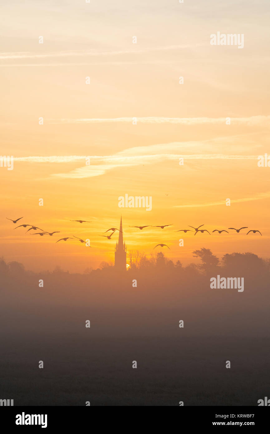 Misty Dawn Alba Con Una Chiesa Inglese Guglia E Battenti Oche Del Canada In Dicembre Kings Sutton Nr Banbury Northamptonshire Inghilterra Silhouette Foto Stock Alamy