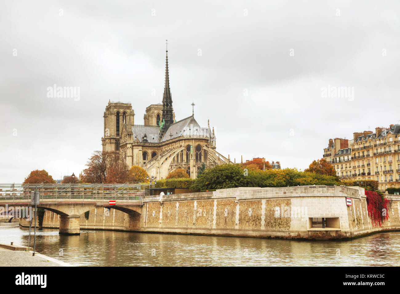 Cattedrale di Notre Dame de Paris Foto Stock