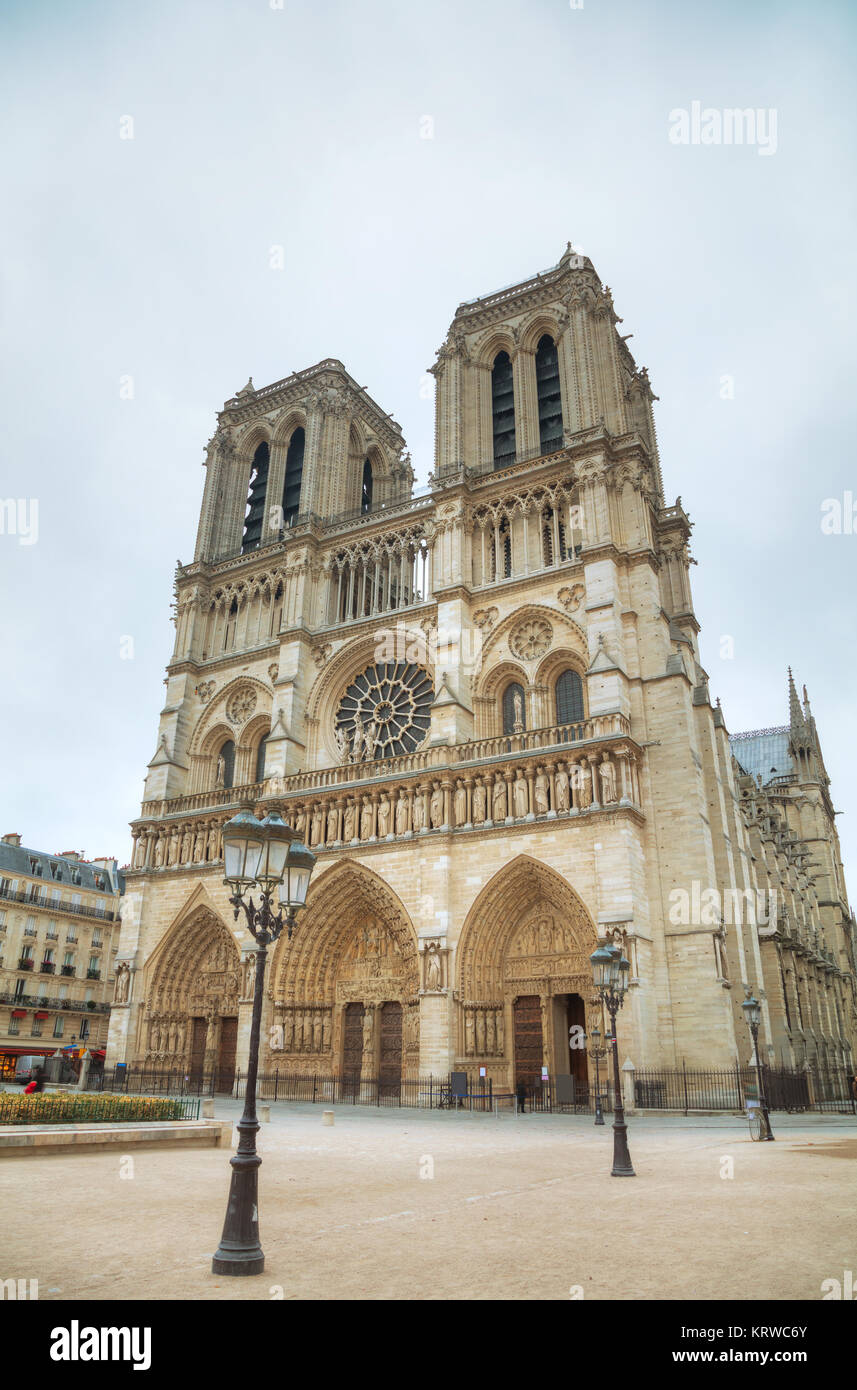 Cattedrale di Notre Dame de Paris Foto Stock