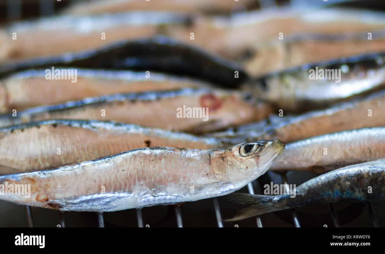 Sardine e pesce azzurro Foto Stock