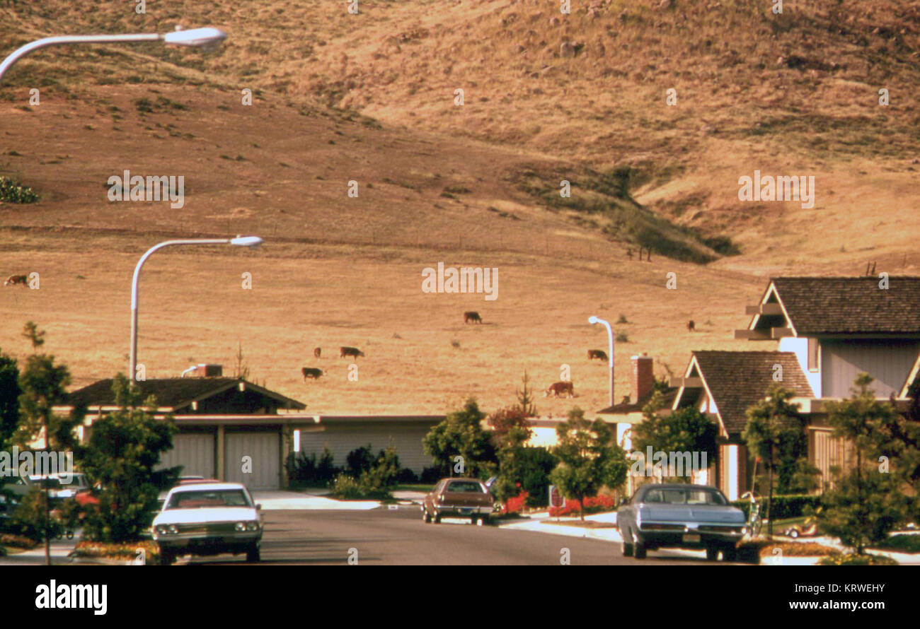 Automobili parcheggiate nel quartiere residenziale di Irvine Ranch zona vicino a Newport Beach Foto Stock