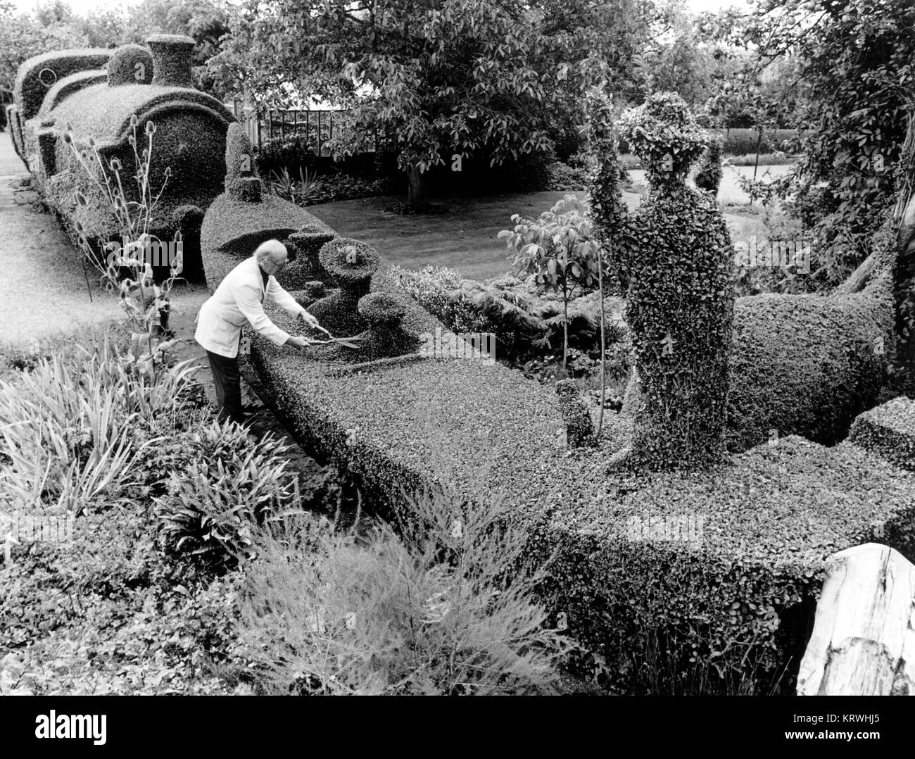 Giardiniere tagli siepi a forma di gondola, Inghilterra, Gran Bretagna Foto Stock