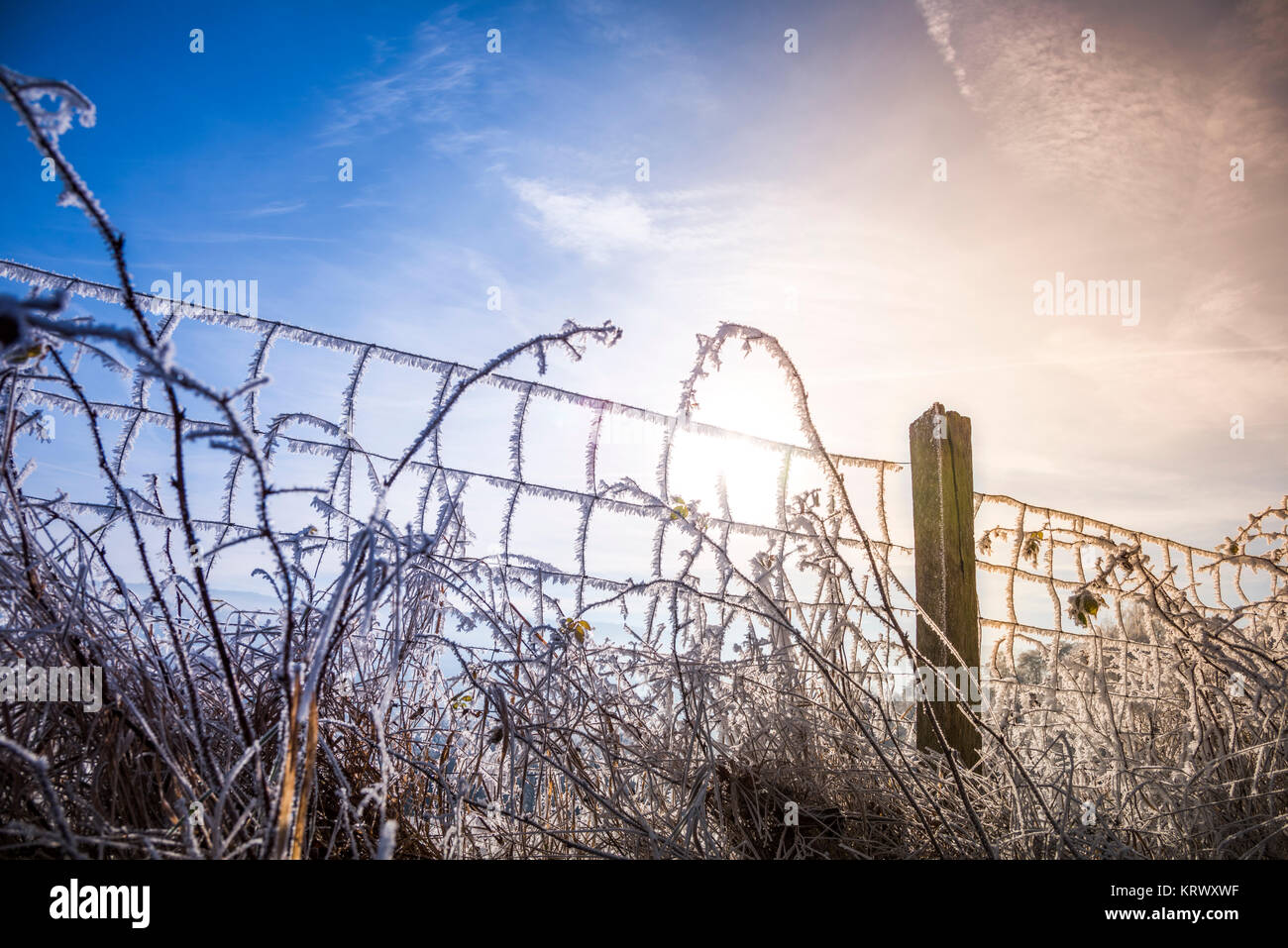 recinzione in inverno Foto Stock