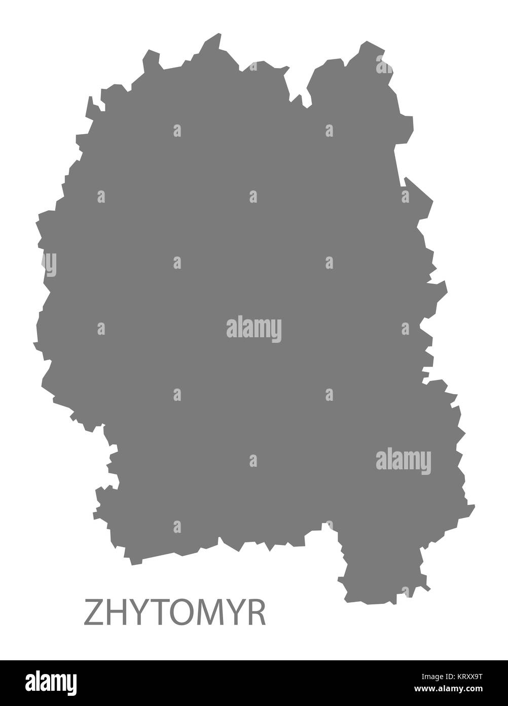 Zhytomyr Ucraina Mappa grigio Foto Stock