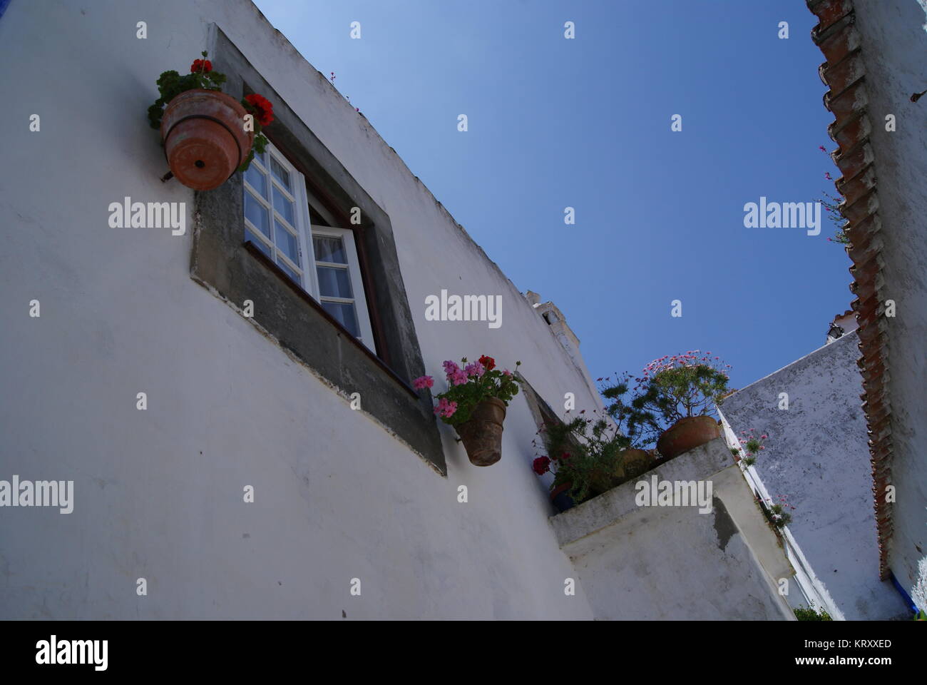 Un giorno di Obidos, Portogallo Foto Stock
