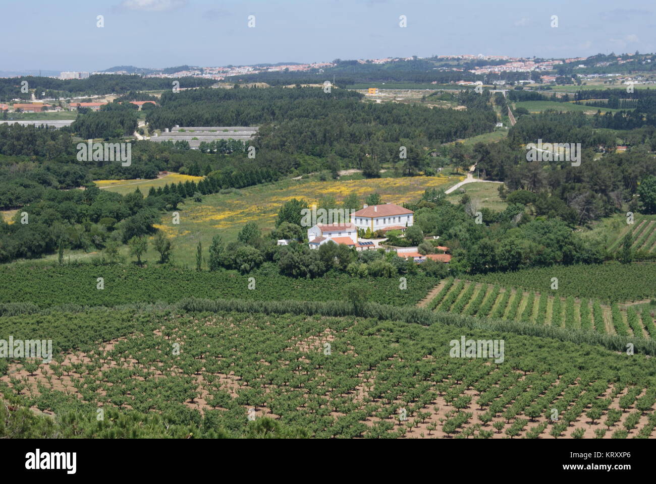 Un giorno di Obidos, Portogallo Foto Stock