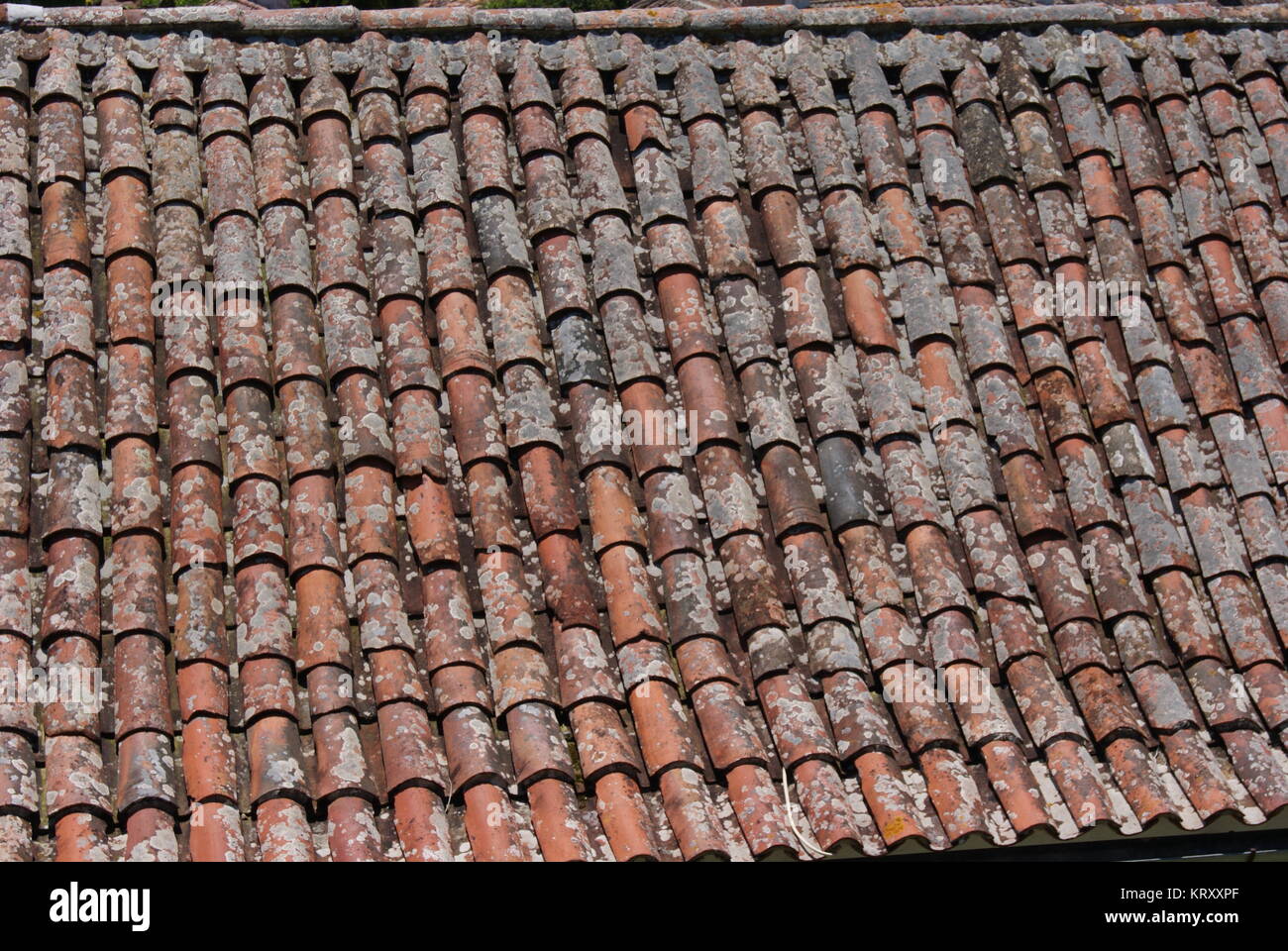 Un giorno di Obidos, Portogallo Foto Stock