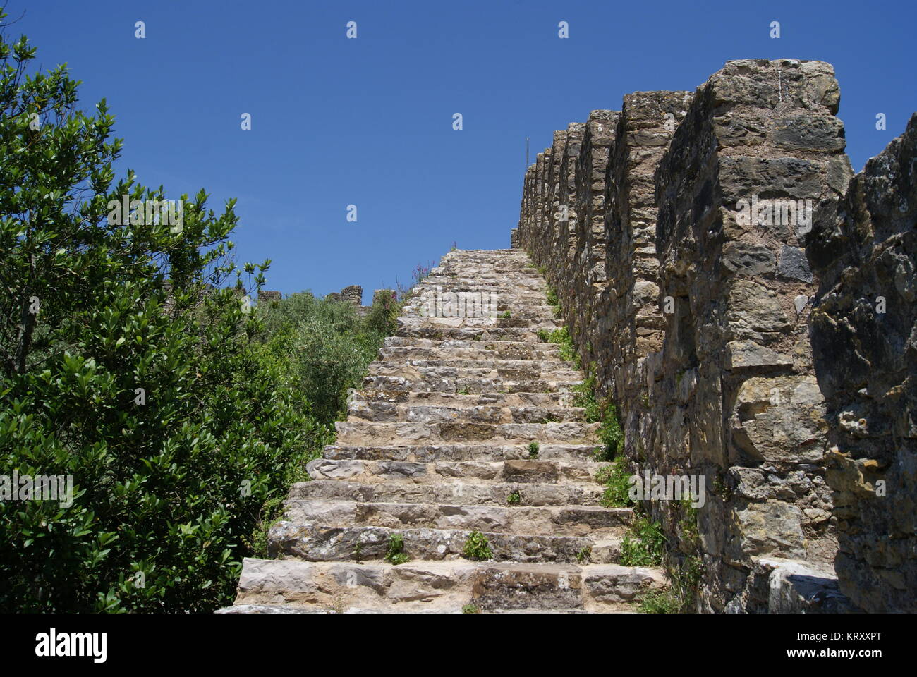 Obidos, Portogallo, una città fortificata Foto Stock