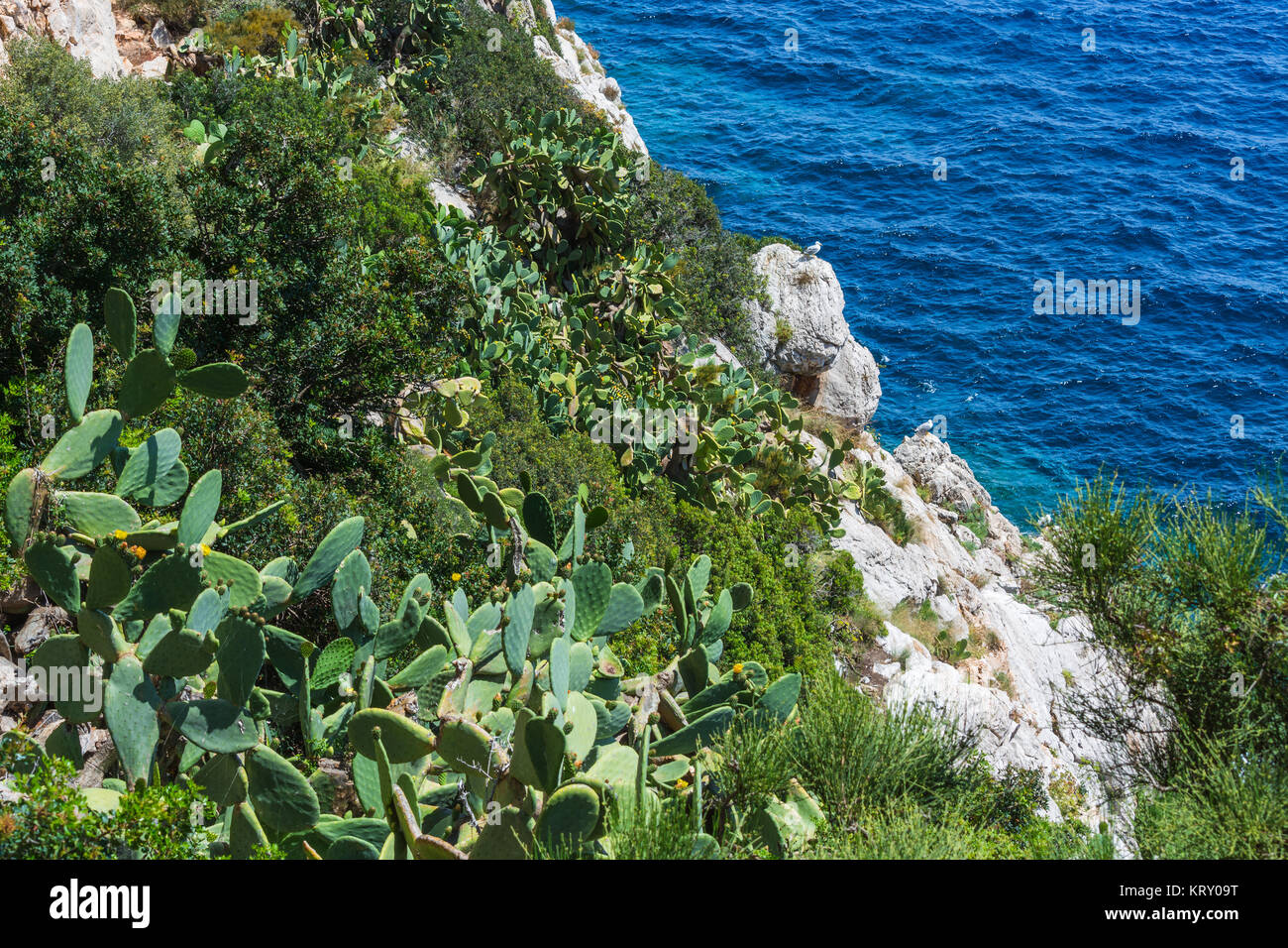 Bay sulla costa ovest di Maiorca. Foto Stock