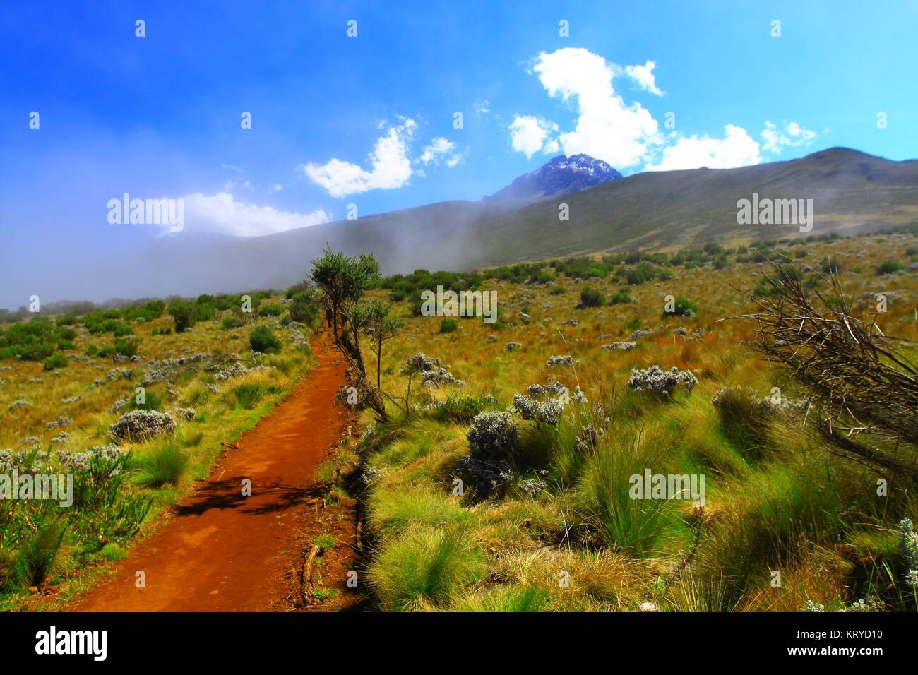 percorso kilimanjaro marangu Foto Stock