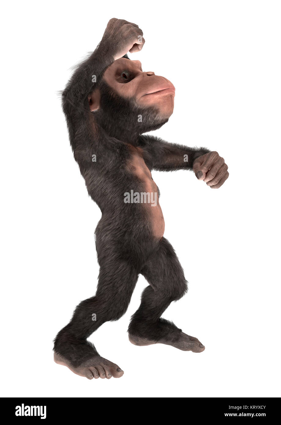 3D Rendering poco di uno scimpanzé su bianco Foto Stock