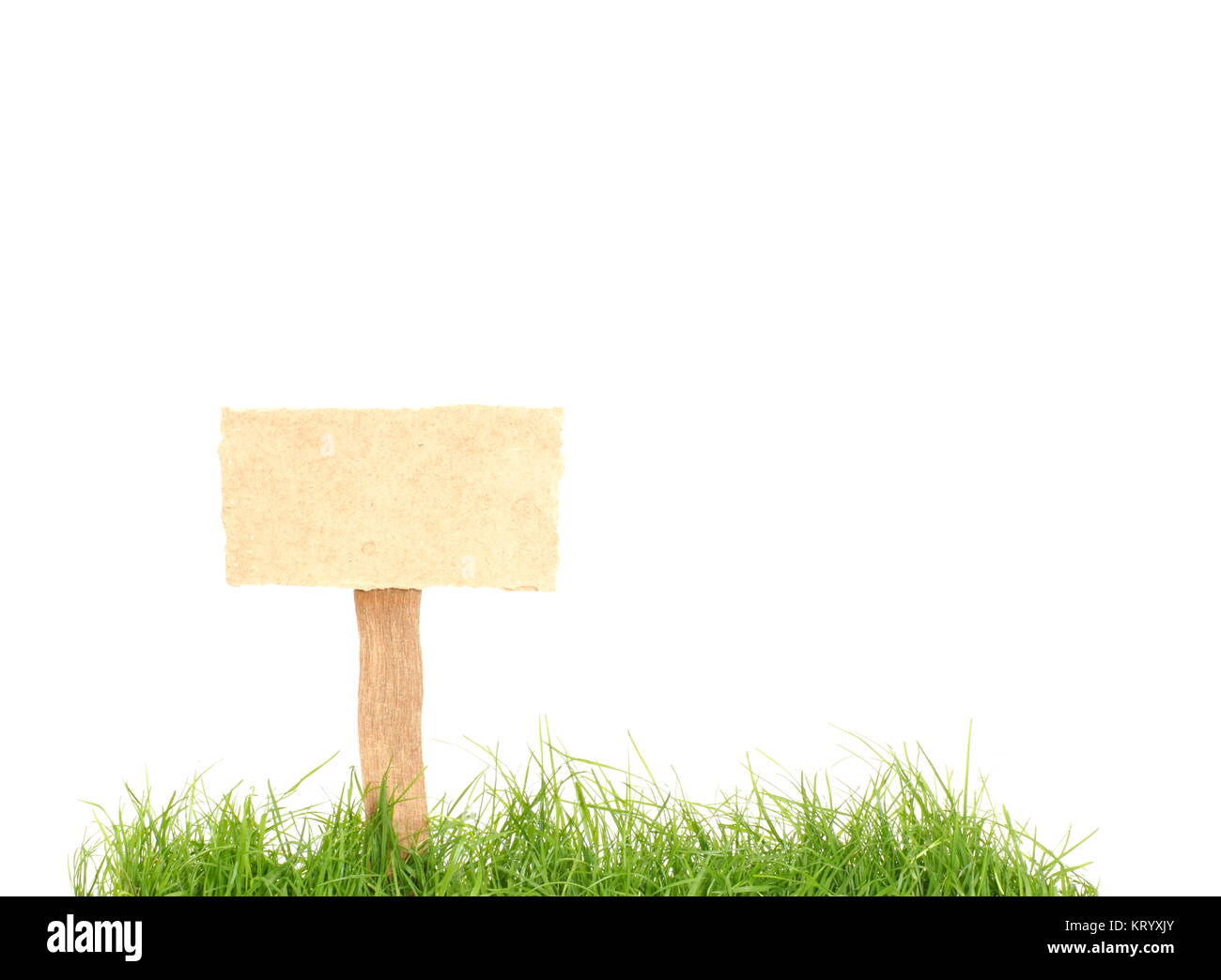 Frisches grünes Gras und isoliertes braunes Schild aus Holz mit Textfreiraum Foto Stock