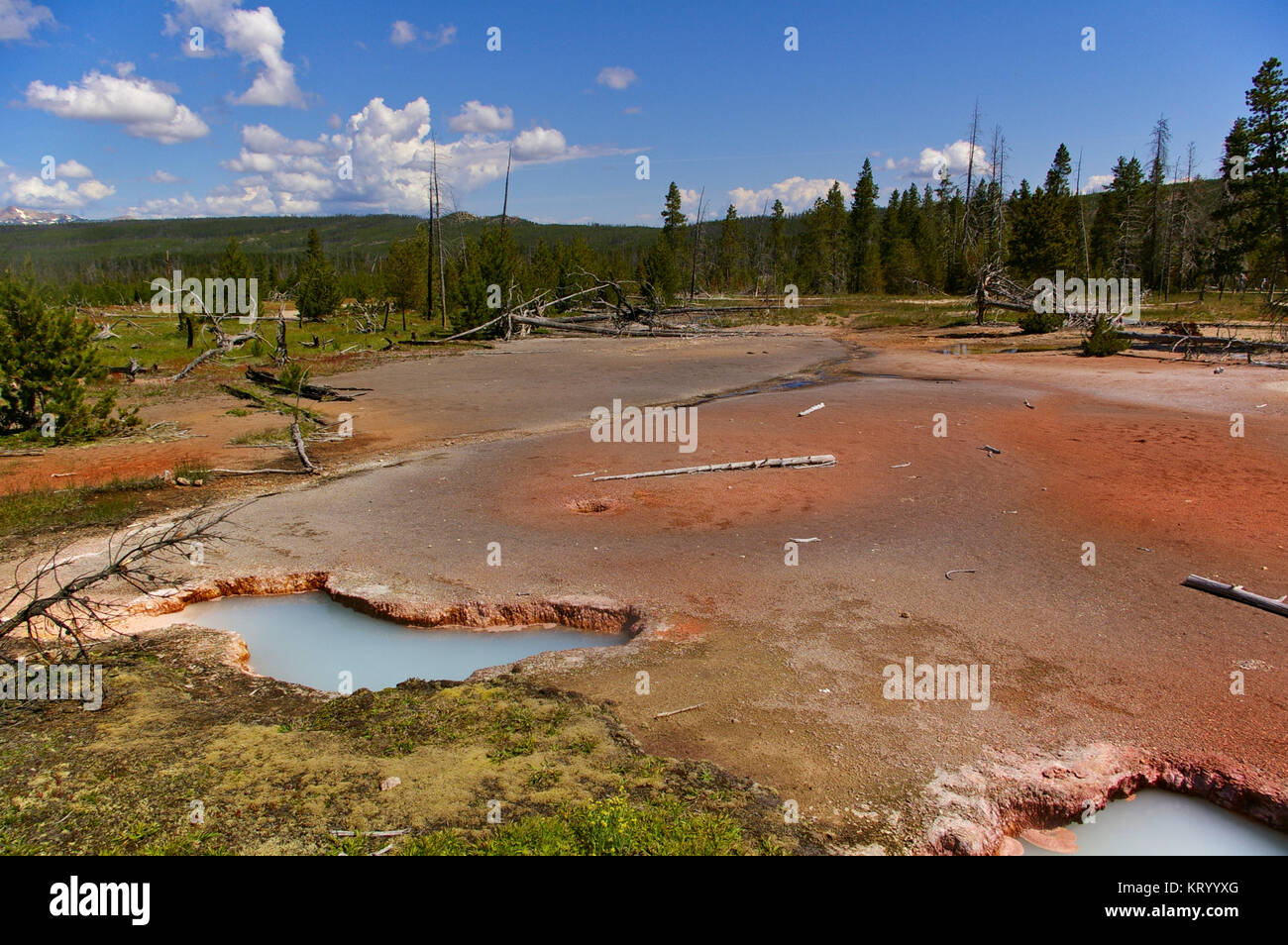 Piscine termali nel parco nazionale di Yellowstone, Wyoming/Montana, USA con colline boscose in background Foto Stock