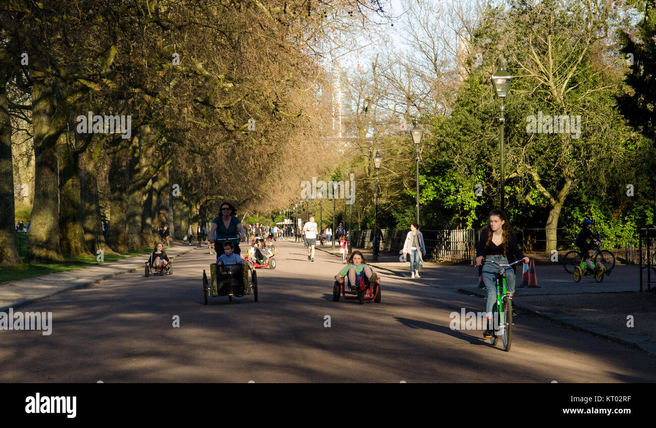 London, England, Regno Unito - 16 Marzo 2014: I ciclisti in bici e carico dei pendolari lungo i viali alberati di Battersea Park's Azionamento carrello su una sun Foto Stock