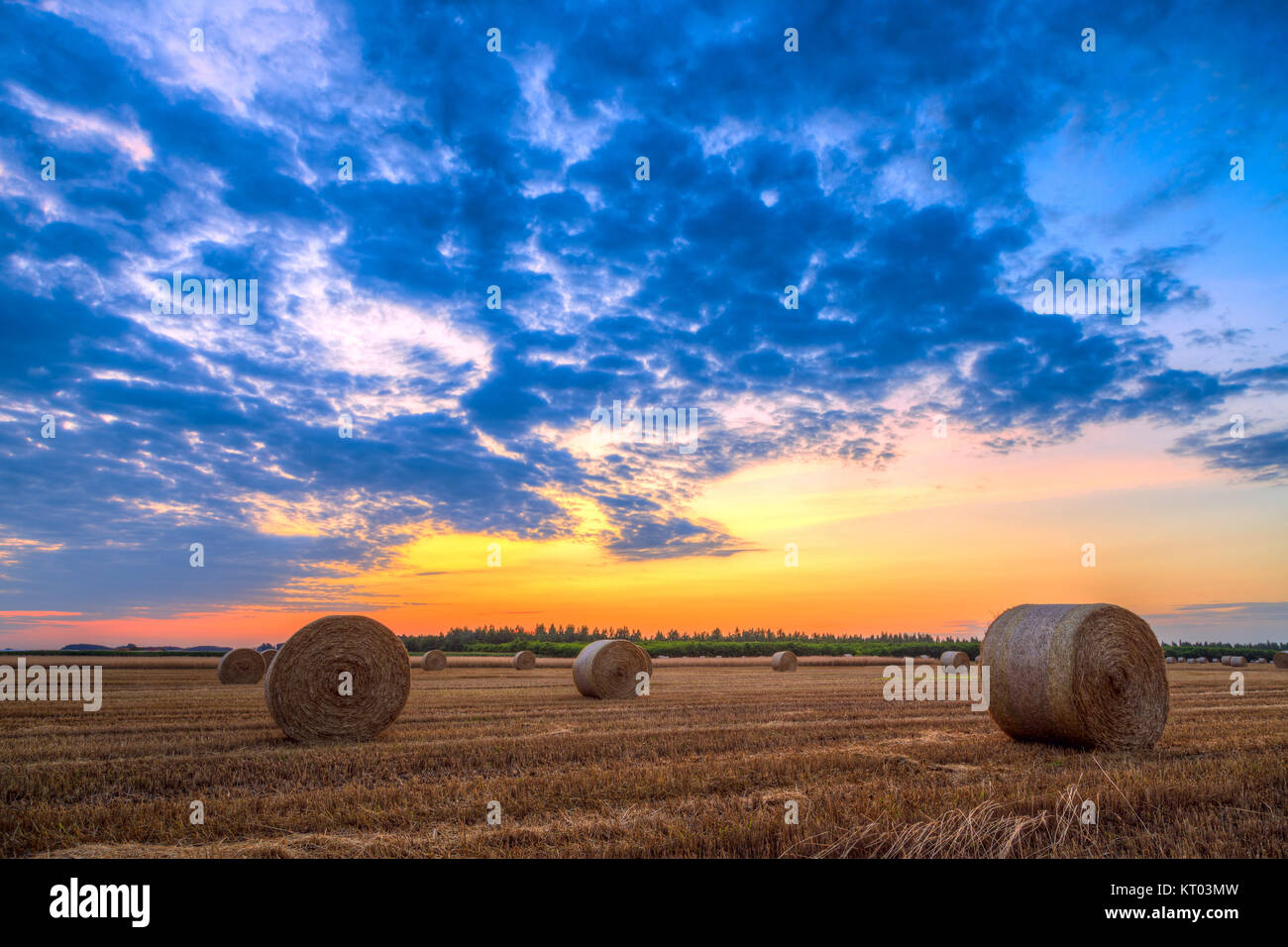 Tramonto sul campo di fattoria con balle di fieno Foto Stock