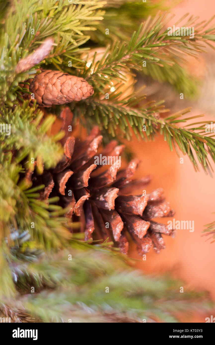 Cono e albero di natale Foto Stock