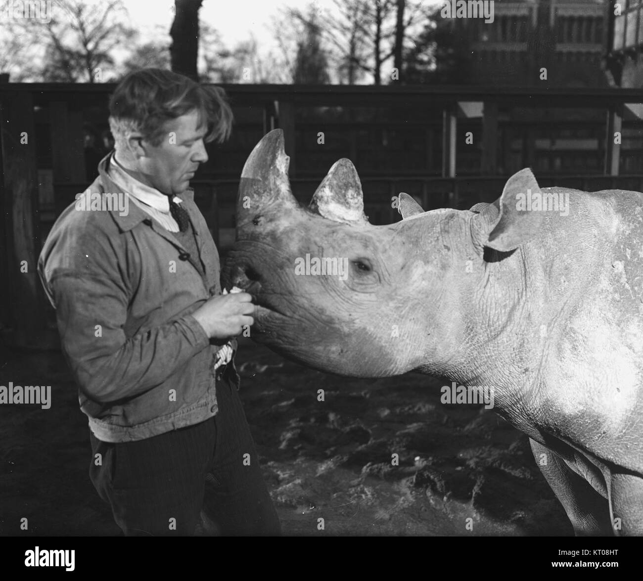 Un'immagine di un'opera d'arte intitolata "Artis", conservata in una collezione come parte della serie Bestanddeelnr 901-3658, che mostra le caratteristiche artistiche del pezzo. Foto Stock
