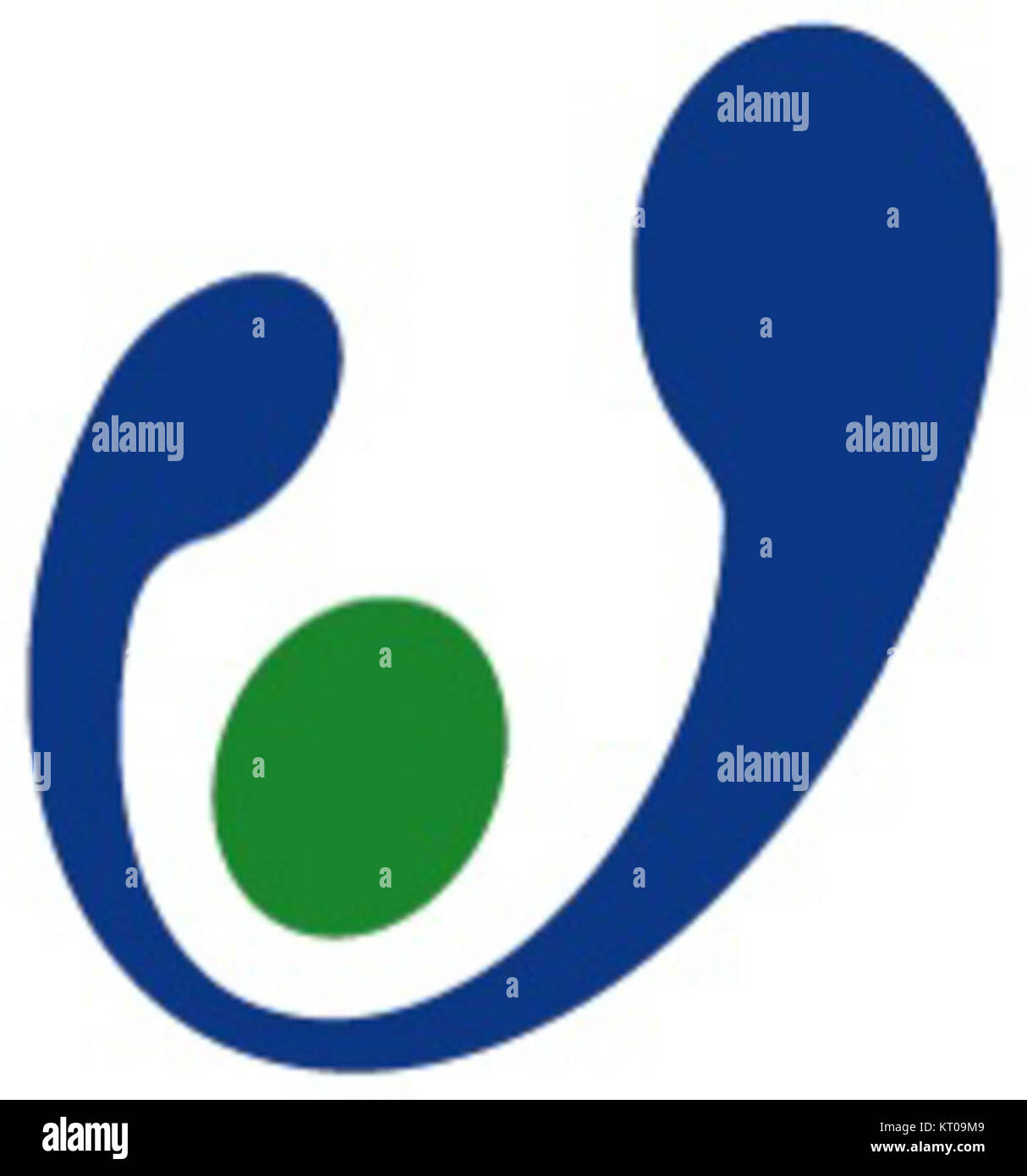 Il capitolo di Asahi Chiba si riferisce a una sezione o unità specifica del gruppo di Asahi a Chiba, in Giappone. Può riferirsi a un ufficio, a una succursale o a un'organizzazione culturale associata al gruppo. Foto Stock