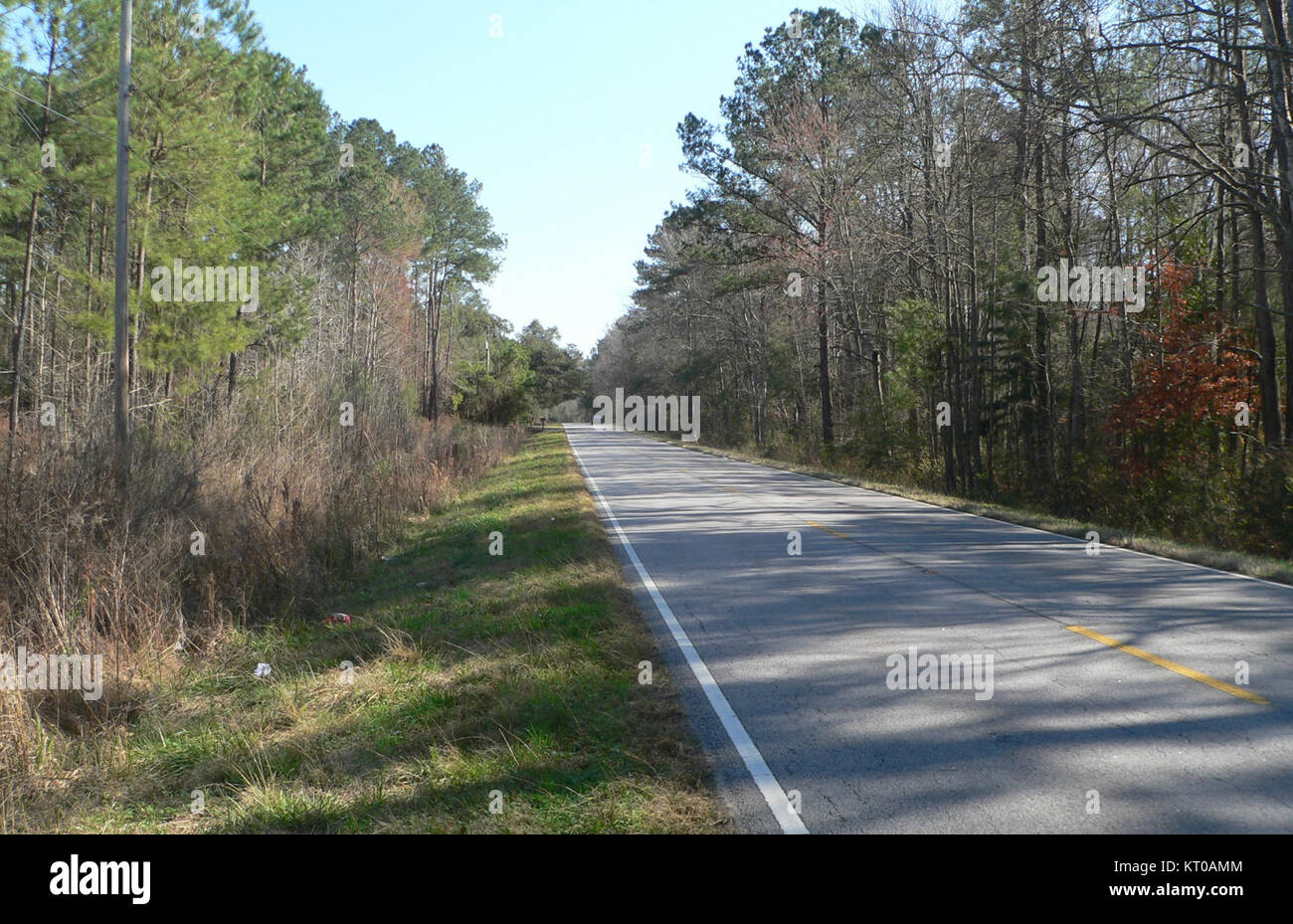 Ashley River Road 10.3 mi N delle api Ferry Rd Foto Stock