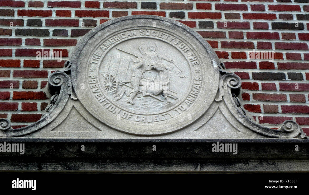Un'immagine della Rogers Memorial Book Medal dell'ASPCA, assegnata per i contributi illustri al benessere degli animali, con il design e l'iscrizione della medaglia. Foto Stock