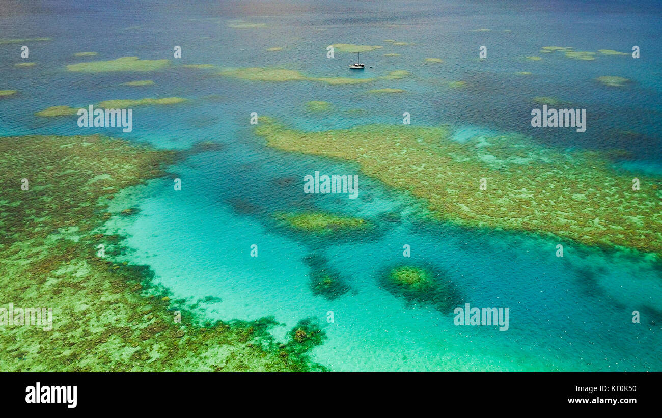 Vista aerea della barca sulla Grande Barriera Corallina Foto Stock