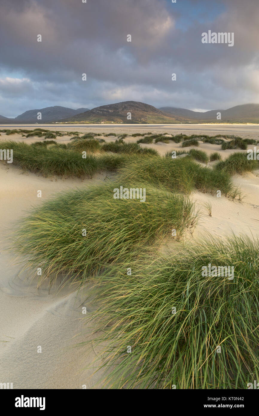 Dune Luskentire, Isle of Harris, Ebridi Esterne, Scotland, Regno Unito Foto Stock