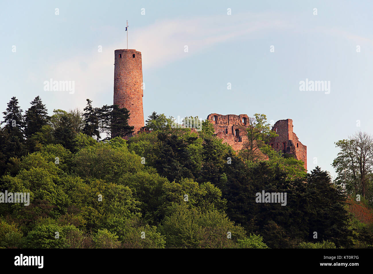 Burg windeck im Odenwald circa weinheim Foto Stock