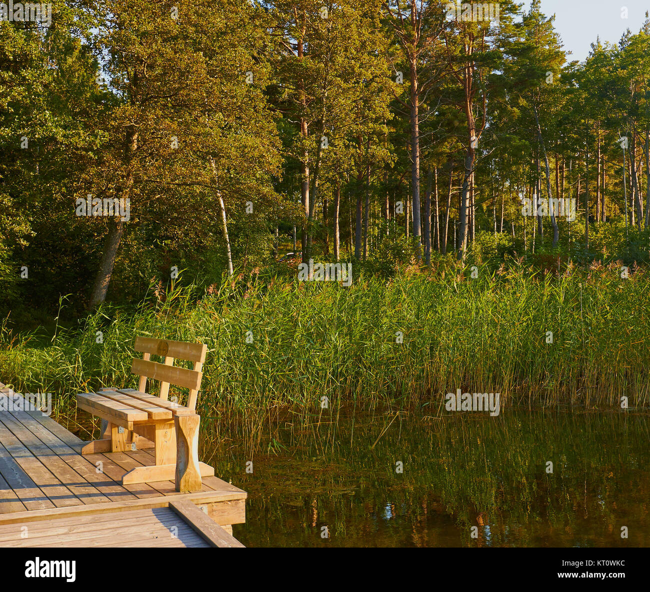 Sedile in legno sul molo tra natura, Svezia e Scandinavia Foto Stock