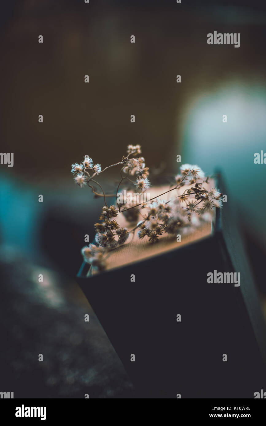 Fiori Secchi sul libro. Che non mi piacciono i fiori? Foto Stock