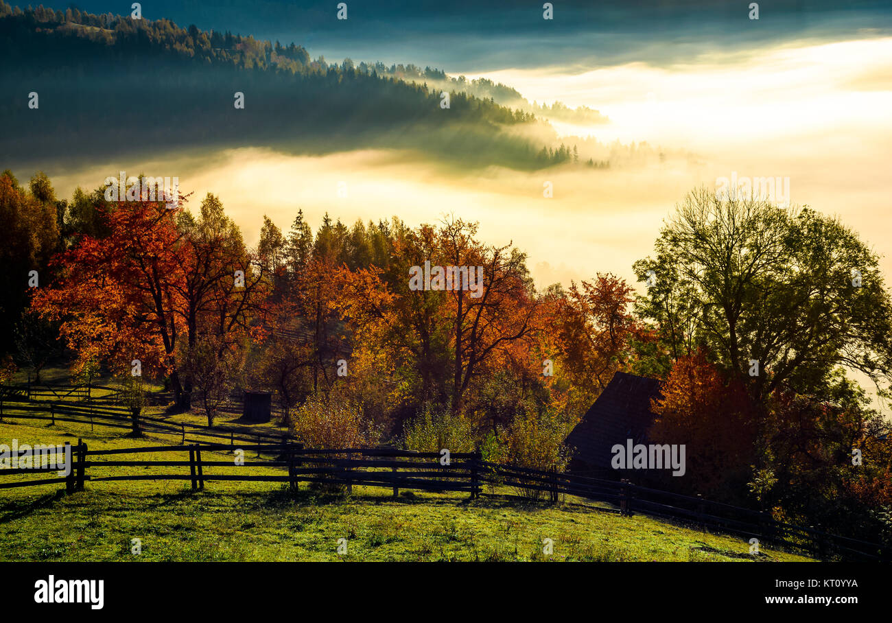 Area rurale su nebbiosa mattina autunnale. stupendo paesaggio di campagna in montagna Foto Stock