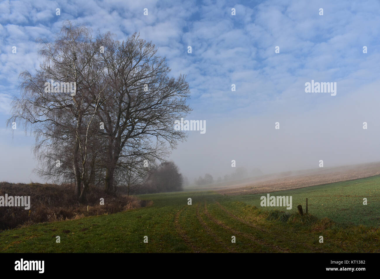 Â La nebbia di mattina è in ampertal Foto Stock