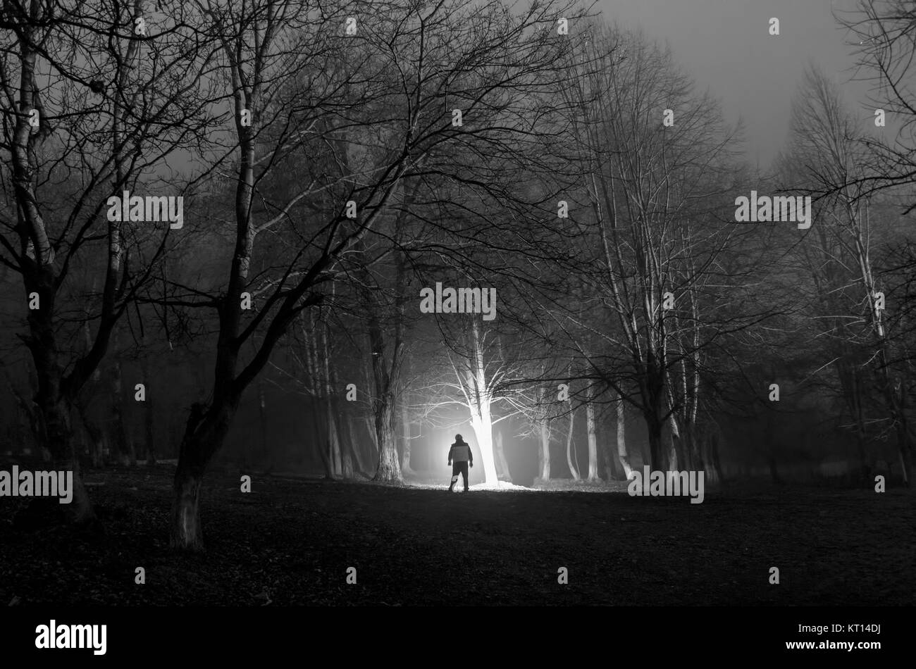 Silhouette di strano in una scura foresta spooky di notte mistica surreale paesaggio luci con creepy uomo Foto Stock