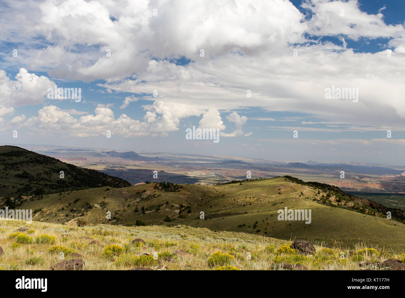 Weite Sicht im Capitol Reef National Park nello Utah, Stati Uniti d'America. Ampia vista nel Parco nazionale di Capitol Reef, Utah, Stati Uniti d'America. Foto Stock