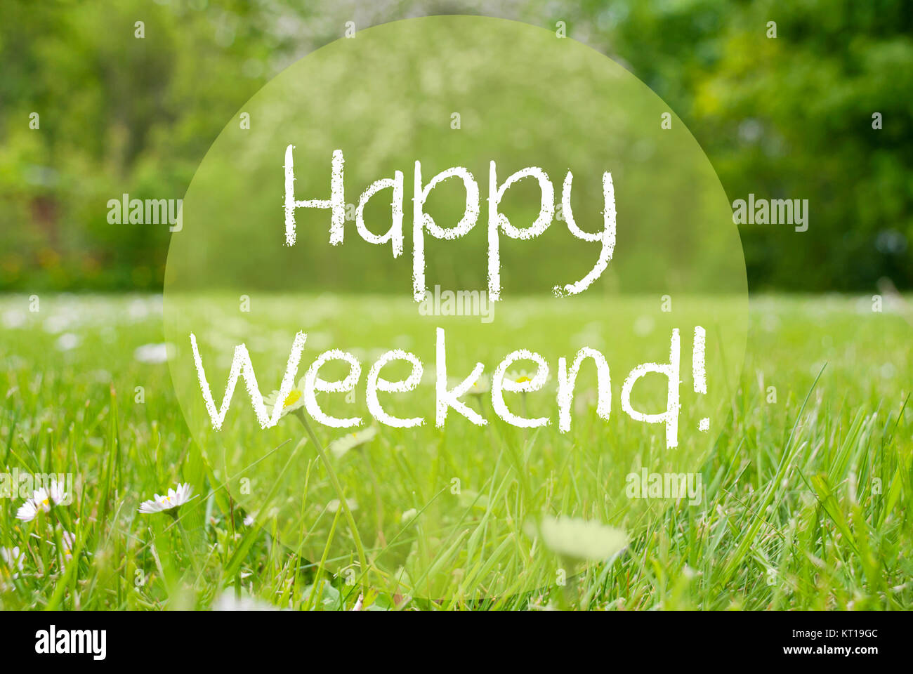 Testo inglese Happy Weekend. Primavera o Estate Gras prato con fiori a margherita. Sfocata alberi come sfondo. Foto Stock