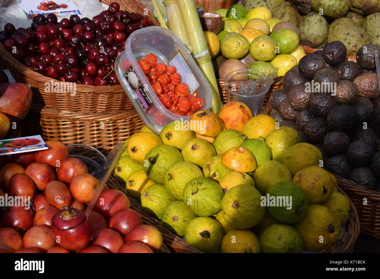 Selezione di frutta su un mercato in stallo il Mercato di Natale, compreso il porpora e il giallo di granadiglie, ciliegie e canna da zucchero Foto Stock