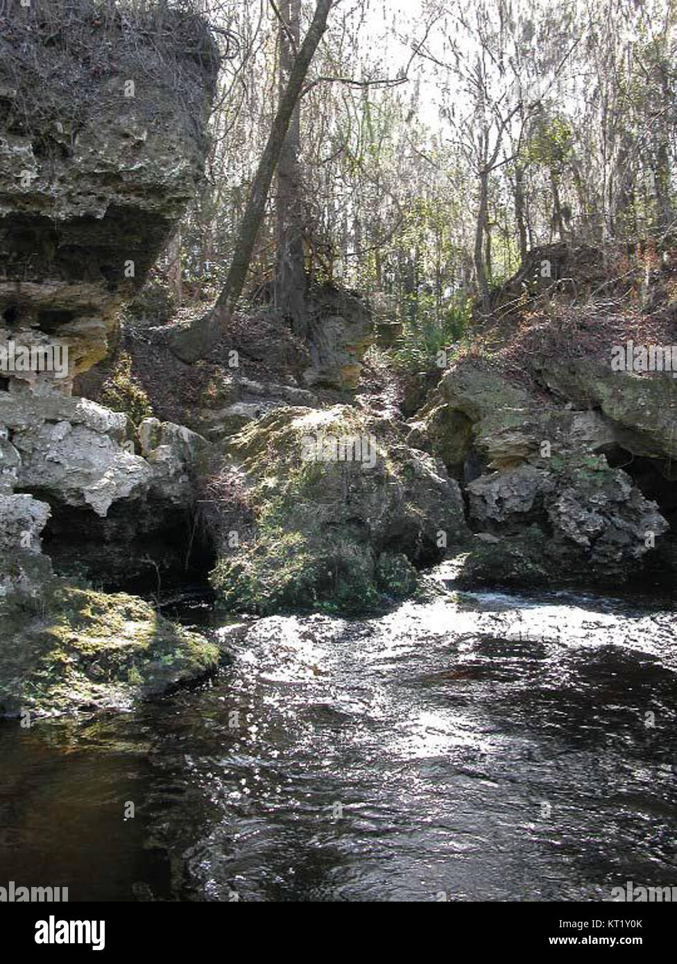 FlEllaville Spring, una sorgente naturale situata nella regione di Ellaville, nota per le sue acque cristalline e la bellezza naturale circostante. Foto Stock